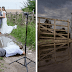Incredible Wedding Pictures That Show Photographer Will Do Anything To Capture The Perfect Shot