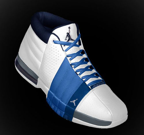 team jordans shoes