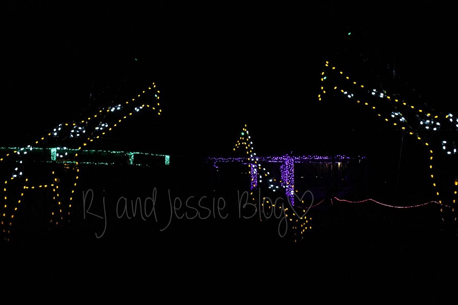 Sunday Snapshot Zoo lights at the Jacksonville zoo