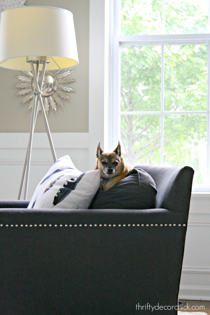 The best and easiest way to remove pet hair from Thrifty Decor Chick