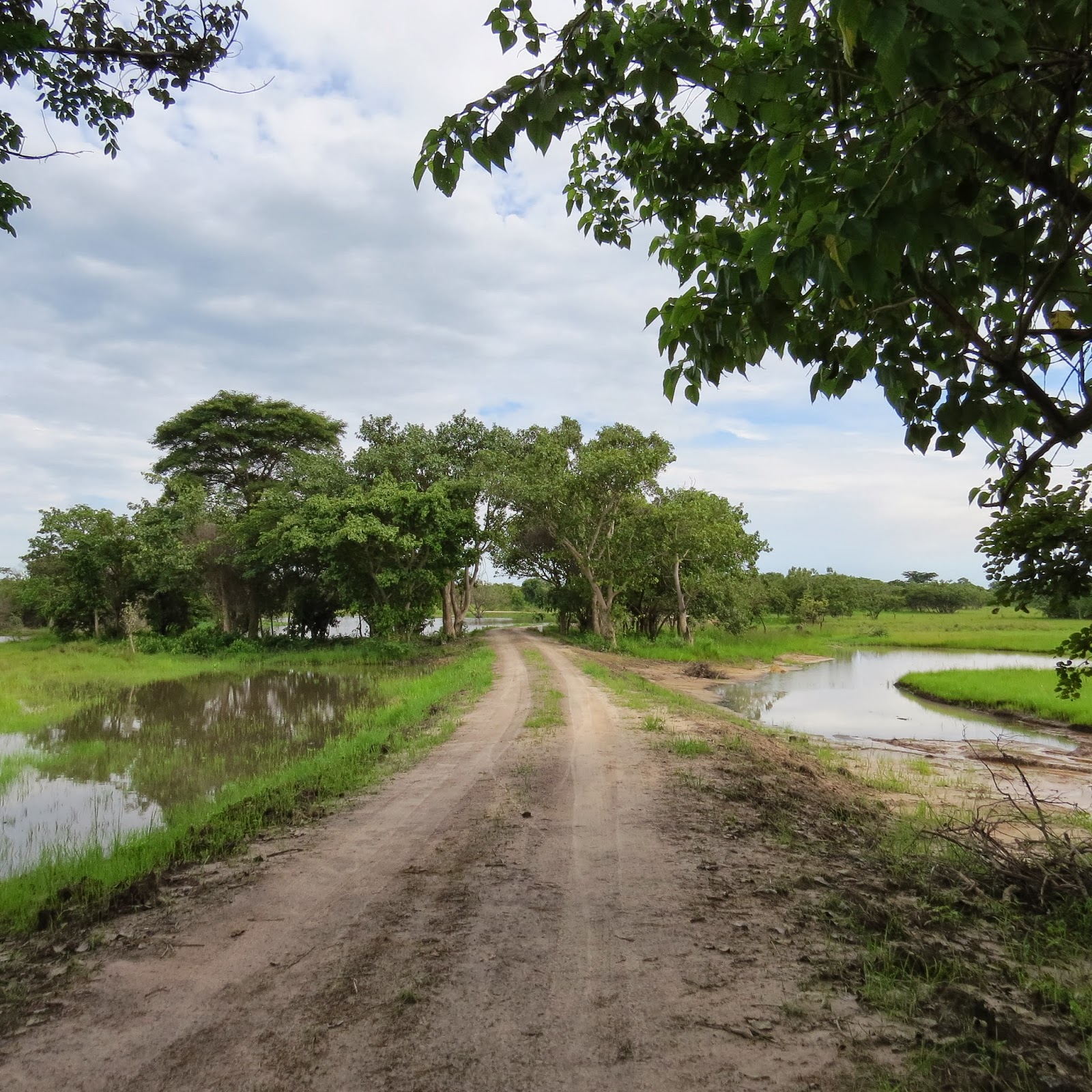 African Queen Life on a farm in Zambia
