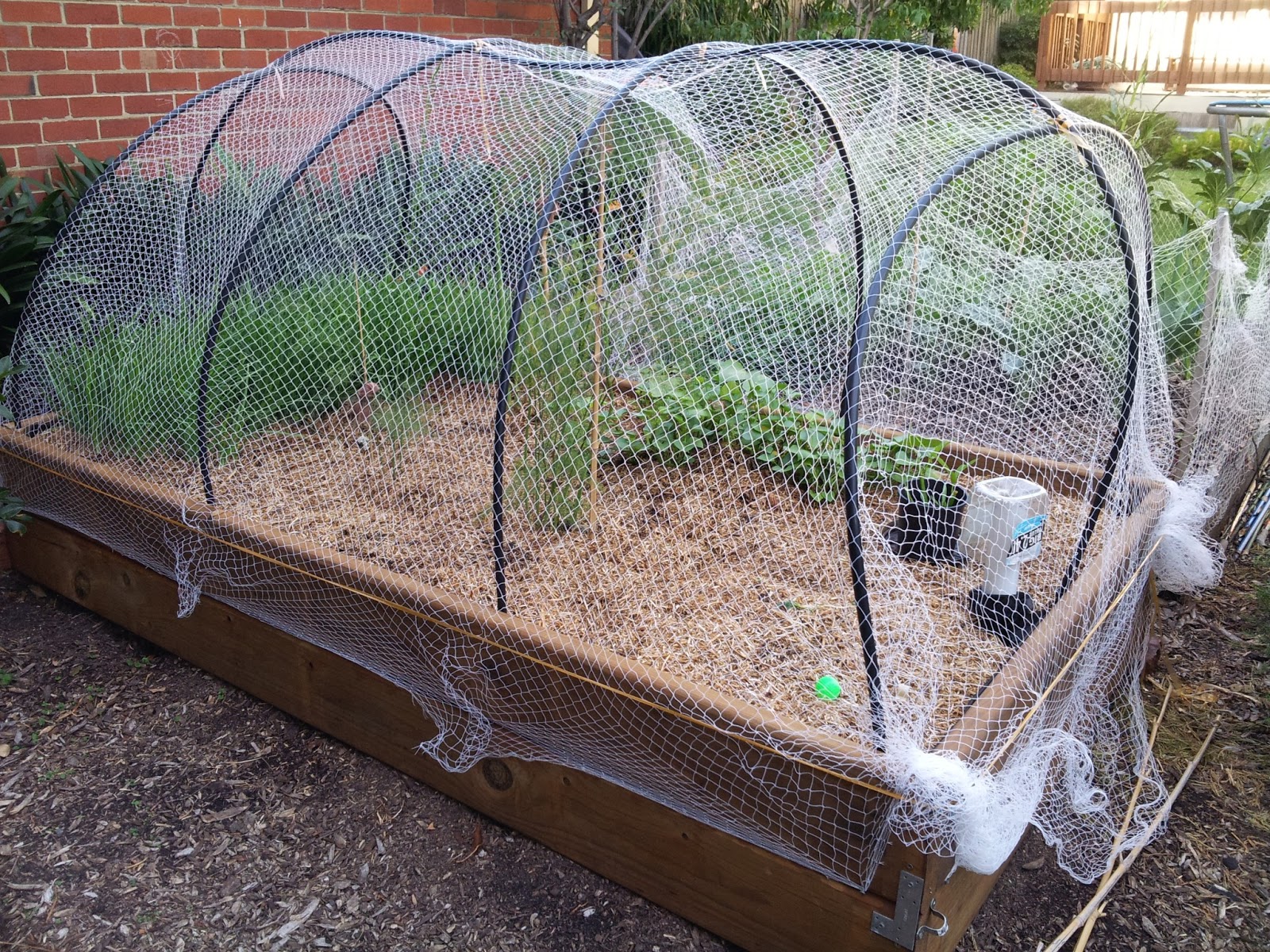 Vanishing Lines Self Wicking Garden Beds