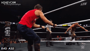 15.gif