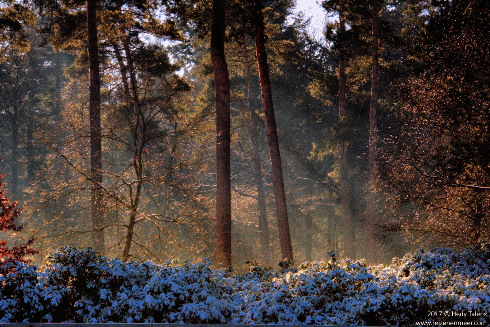 Special Discover National Park De Hoge Veluwe Ontdek Nationaal Park