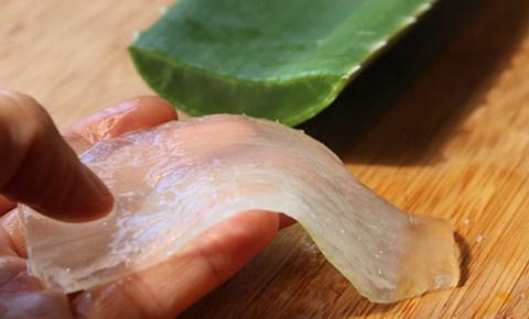 Gel lidah buaya Cara Memutihkan Kulit Tangan dan Kaki Secara Alami