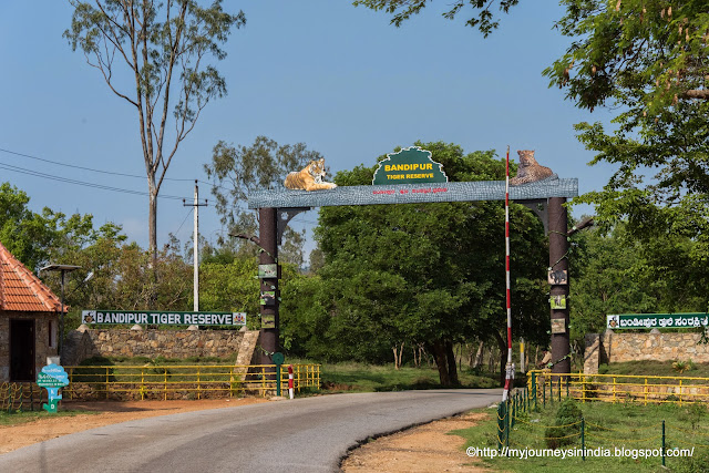 Entrance Arch in Bandipur Tiger Reserve