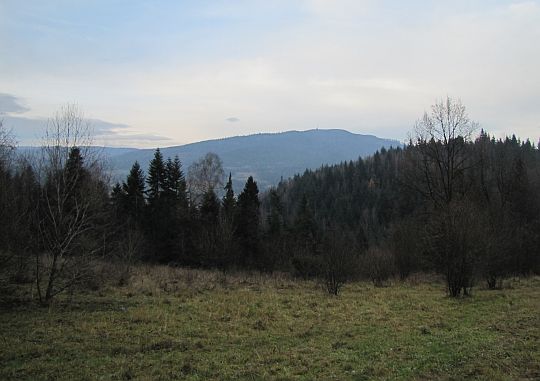 Widok na Luboń Wielki. Widok na Luboń Wielki.