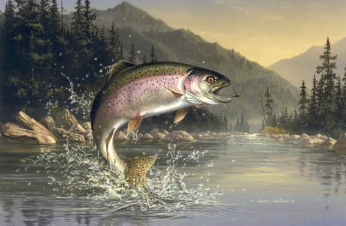 rainbow-trout-painting.jpg