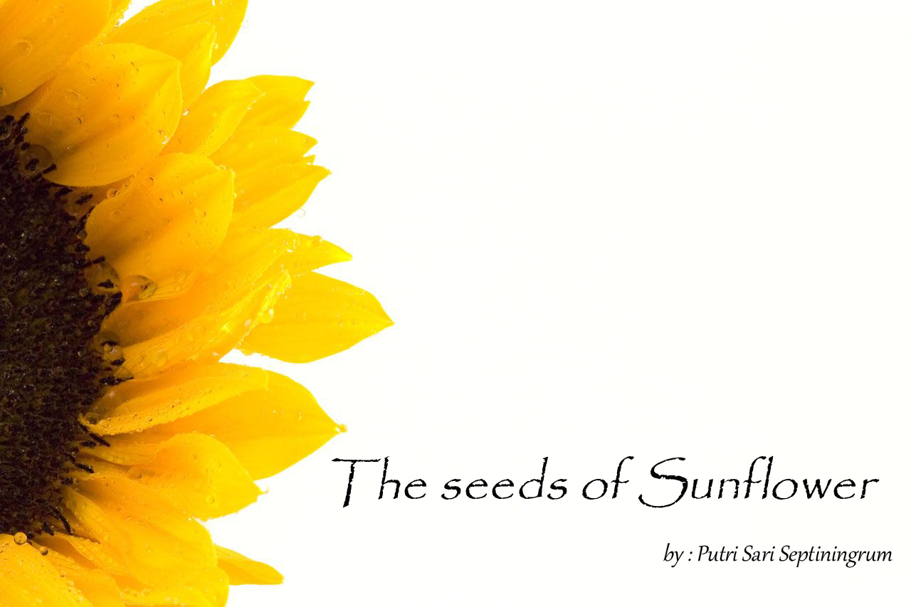 The seeds of Sunflower