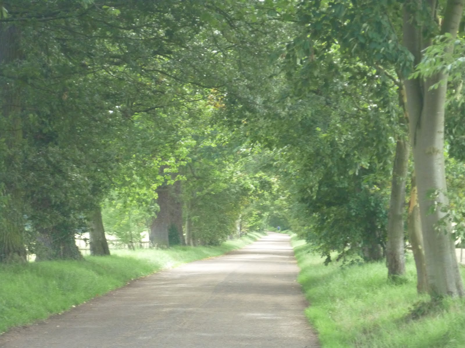 stile guru random rambles of a weekend walker Walk 14 St Albans and