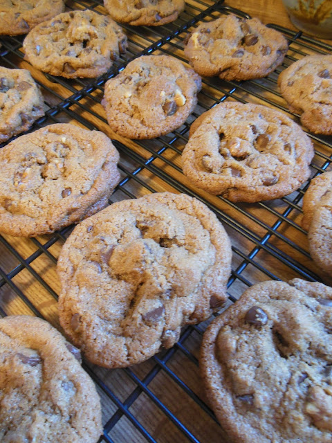 Whole Grain Browned Butter Chocolate Chip Cookies! Whole Grain Browned Butter Chocolate Chip Cookies!