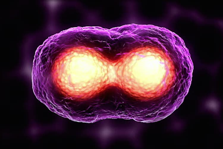 THE SCIENCE OF CURING CANCER AND OTHER DISEASES WITH SOUND AND RESONANT