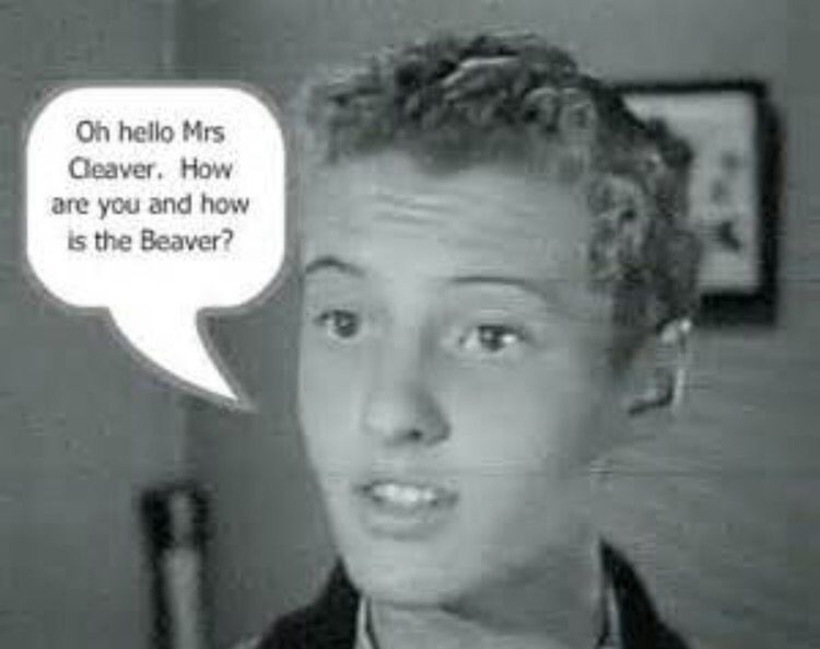 eddie haskell effect definition