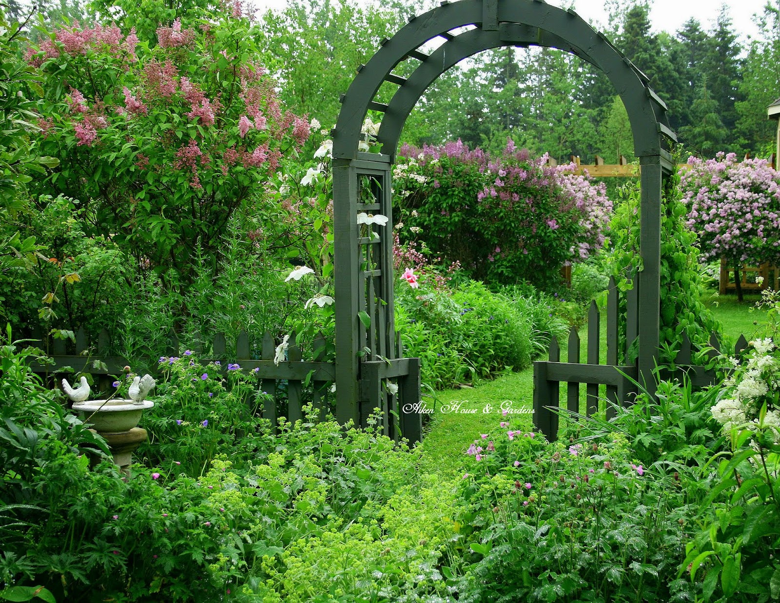 Garden Design Image