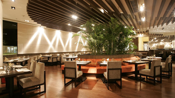 Restoran Di Senayan City Terbaik yang Wajib Dicoba!