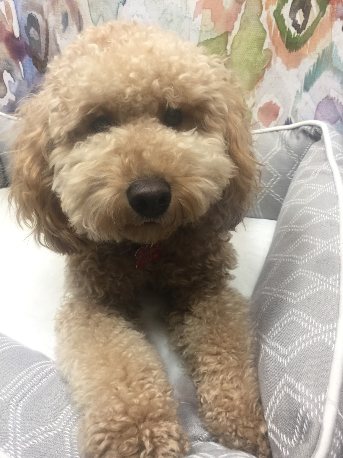 Baker/Hazel & Snider Funeral Home