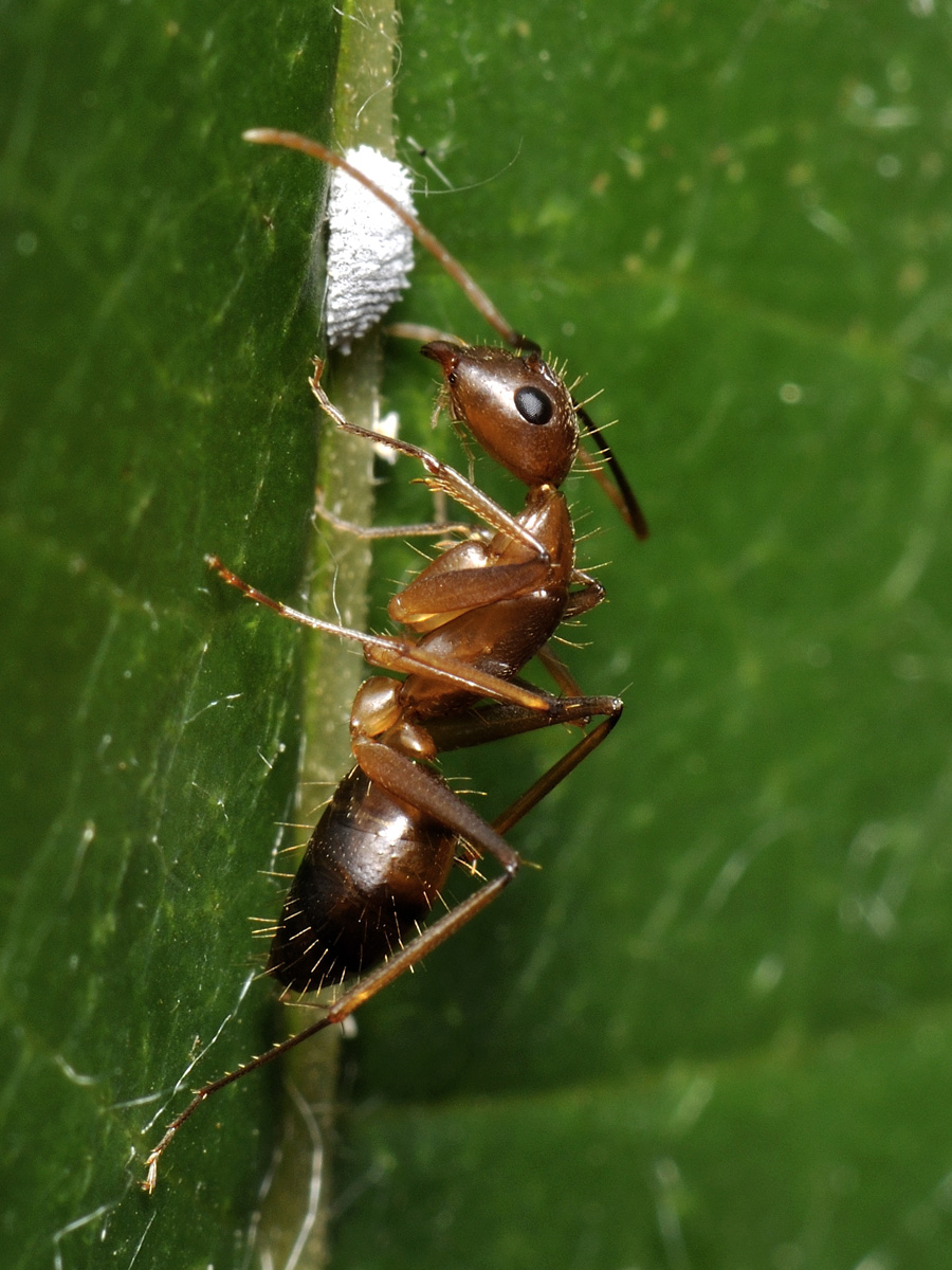 My Pensieve September 2012