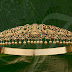 Bridal elegant golden vaddanam
