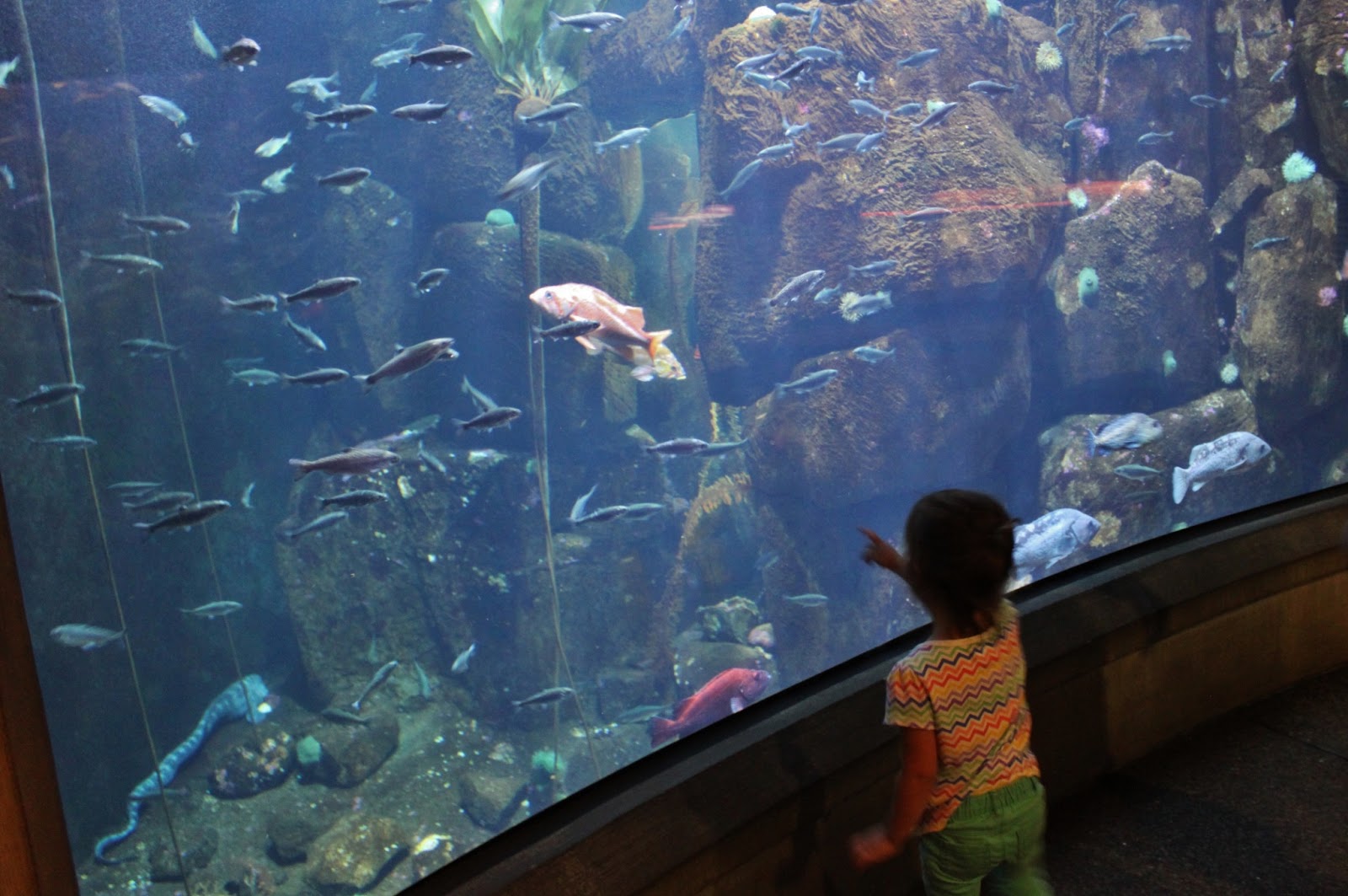 The Blakeys Oregon Coast Aquarium