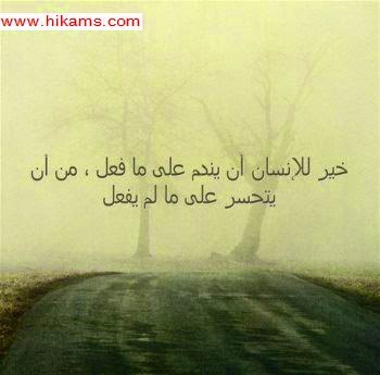 كلمات جميلة