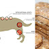 DIY Apple Cinnamon Dog Treats That Fight Inflammation And Prevent Canine Arthritis In Your Pet!