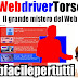 (Video) Webdriver Torso Il Grande Mistero Del Web - Strane Sequenze Di Rettangoli Colorati e Suoni Elettronici