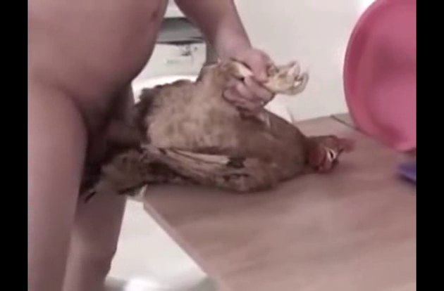 Porn Man Fuck Chicken. 