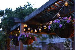 summer pier lights string dinner imports seaglass turned say always which