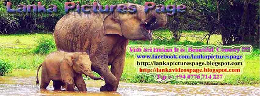 Lanka Pictures Page