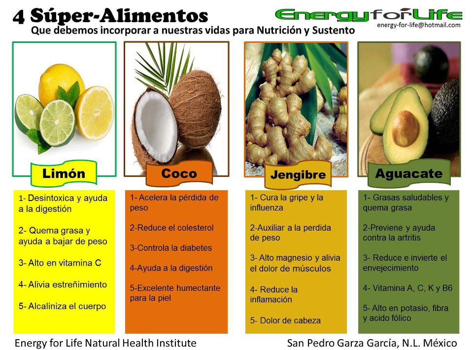 Alimentacion perdida de grasa