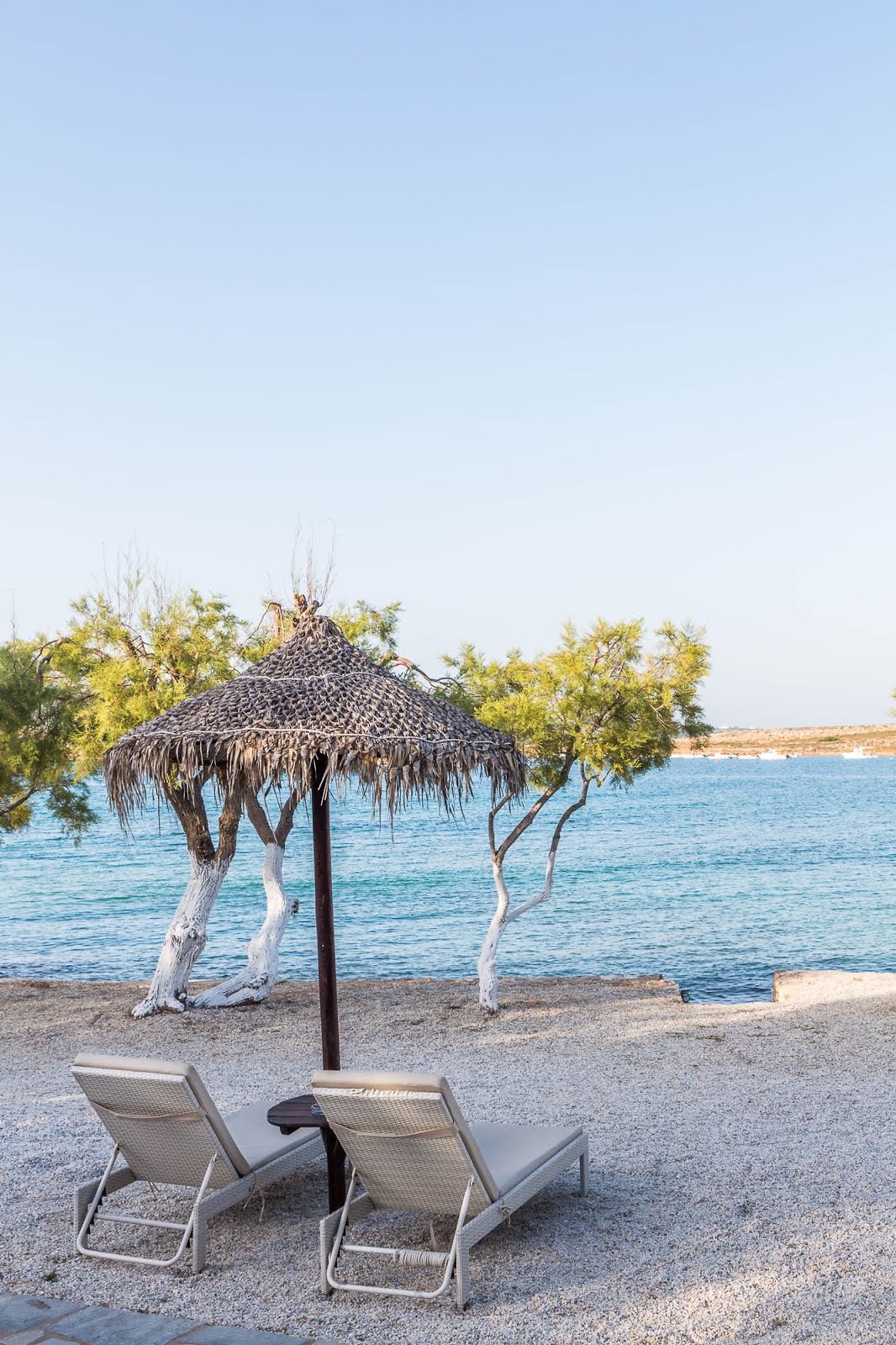 Bonnes adresses Paros Kalypso Hôtel Naoussa