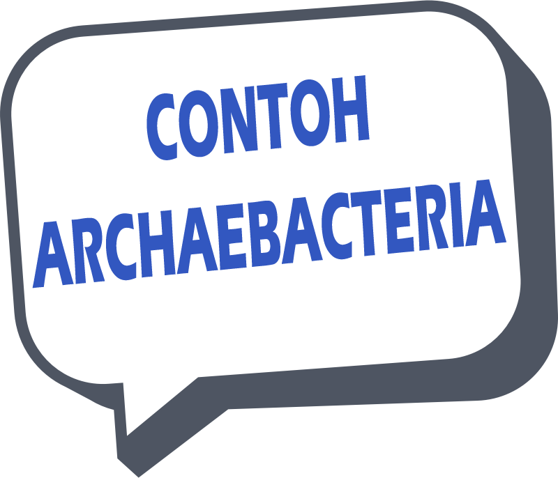 Contoh Archaebacteria Berdasarkan Tempat Hidup/Habitatnya