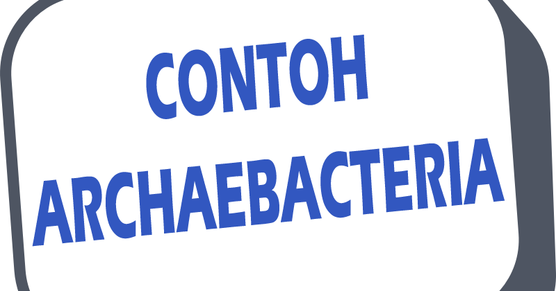 Contoh Archaebacteria Berdasarkan Tempat Hidup/Habitatnya
