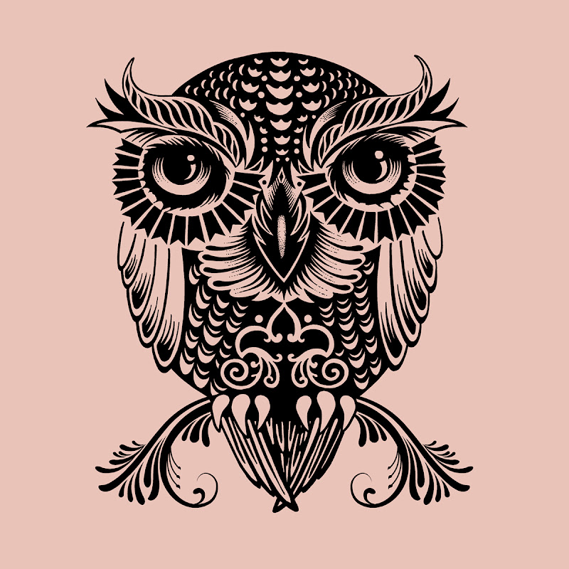 Egyptian Owl title=