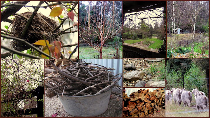 My Winter Garden 2011