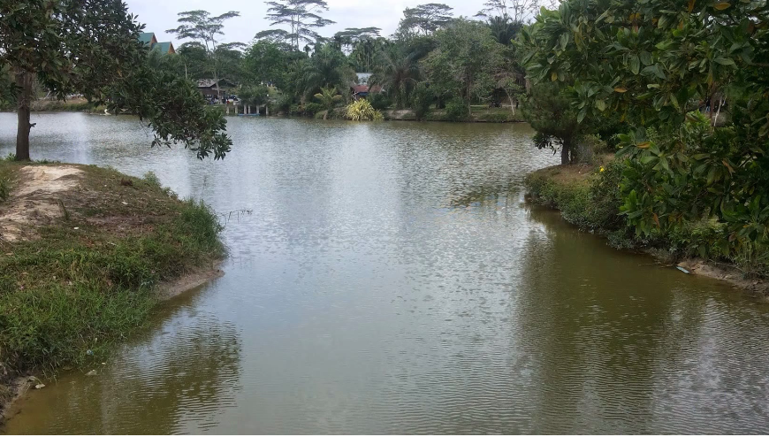 Danau Kualo Mudo - Wisata Duri Bengkalis - Riaumagz