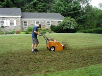 How to Prepare Your Lawn for Overseeding