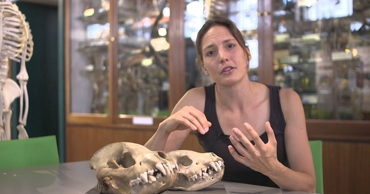 Writers Institute Blog: Helen Czerski on Hyenas and Their Sense of Smell