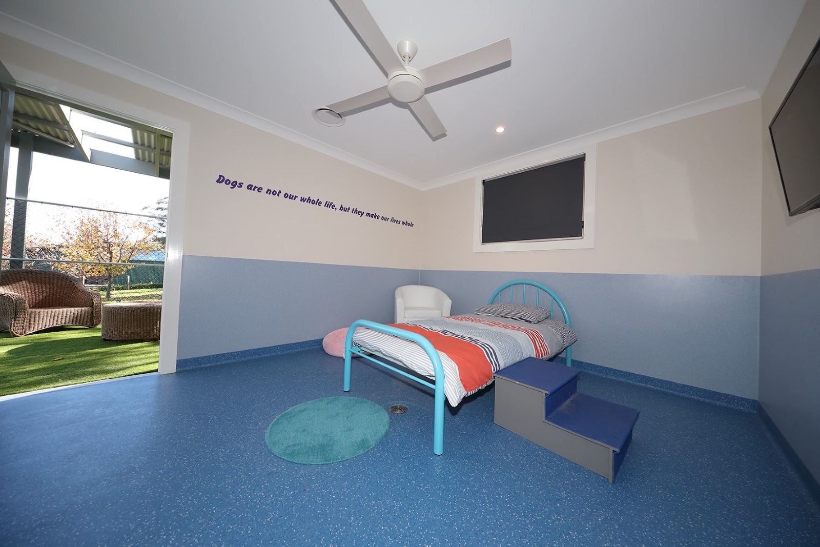 Luxury Dog Boarding Calabash Kennels Australian Dog Lover