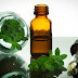 Why Oregano Essential Oil is One of the Most Powerful Natural Antibiotics Known to Science