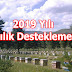 2019 Arılı Kovan Desteği Nasıl Alınır