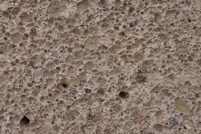 Coral stone wall texture