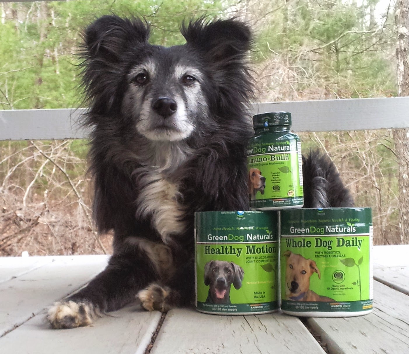 Multivitamins For Dogs Uk Multivitamins For Dogs Uk