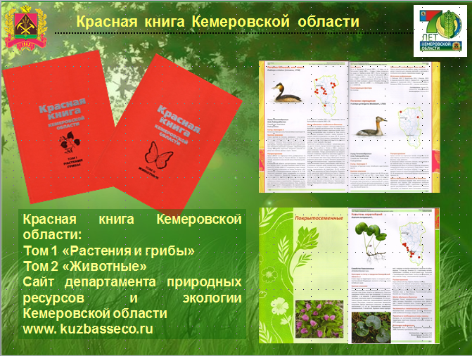 Красная книга Кемеровской области - Волшебный Замок