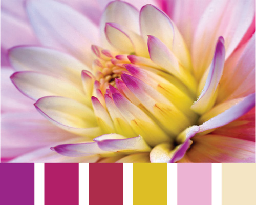 Madam Noire Makeup Studio: Spring Color Block