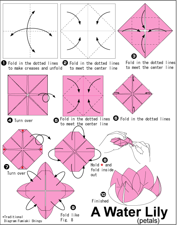 Water Lily Easy Origami  instructions  For Kids