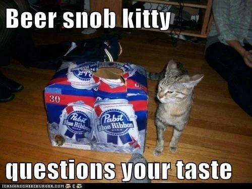 Beer Snob Kitty