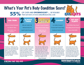 Natural Ways To Put Your Dog Down Natural Ways To Put Your Dog Down