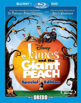 James And The Giant Peach 1996 Dual Audio BRRip 480p 250Mb