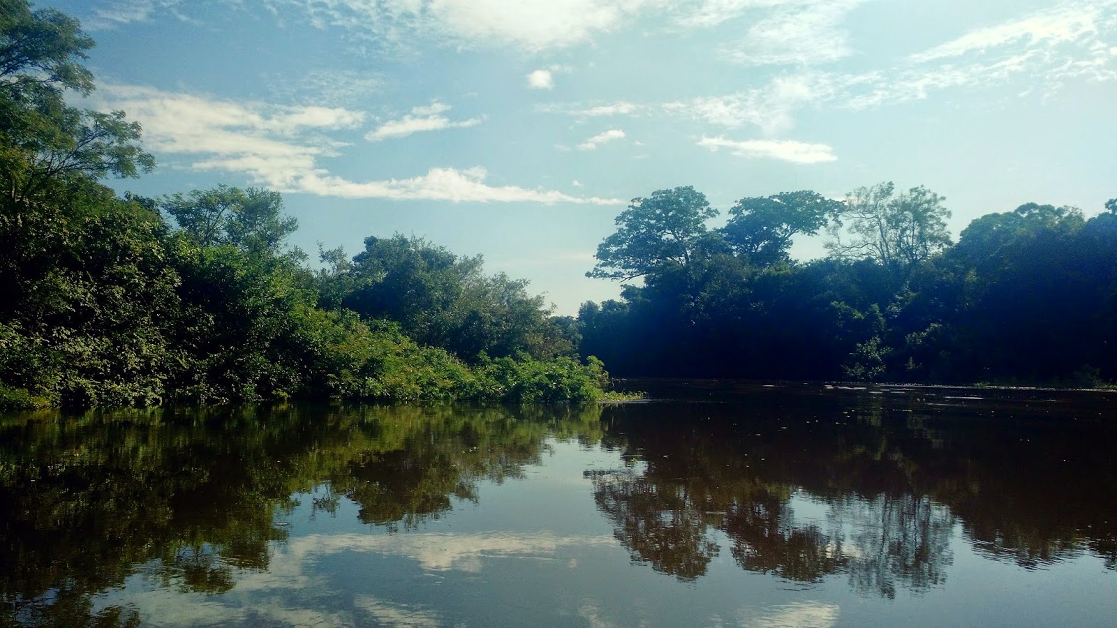 TRAVEL: ¿COMO SOBREVIVIR A LA SELVA? - AMORIOSDELAMODA